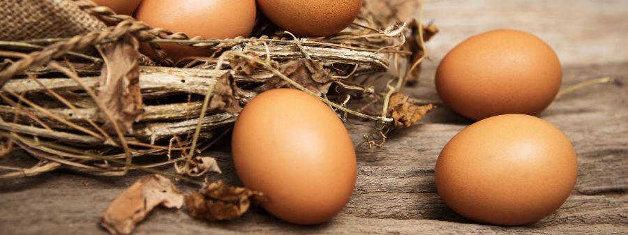 Eggs