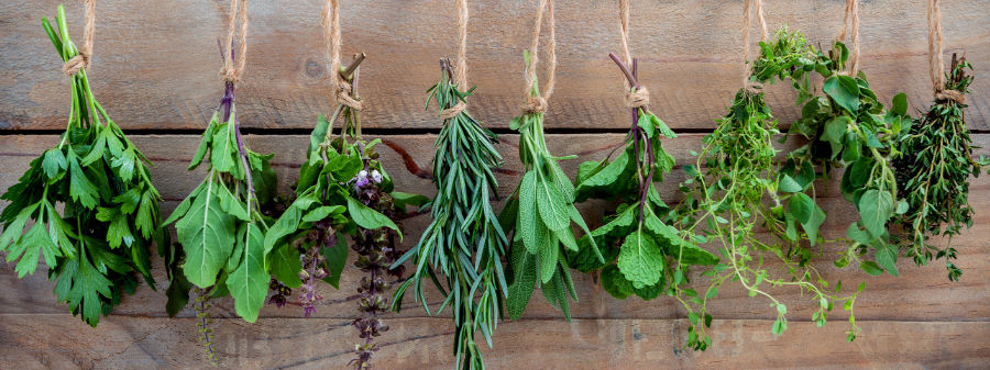 Herbs and Spices