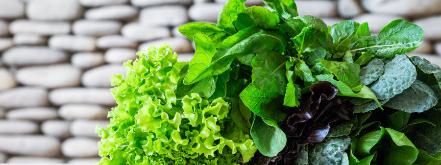 Lettuce and Loose Greens