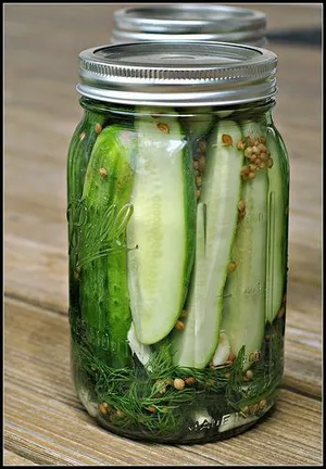Dill Pickles
