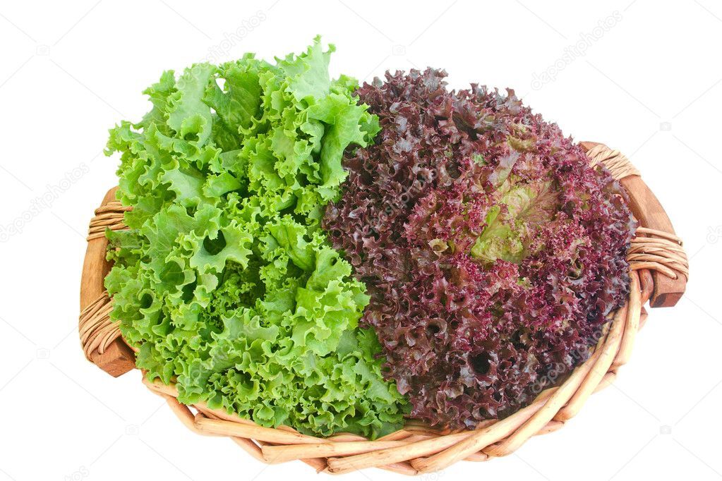 Aquaponic Lettuce Pairs