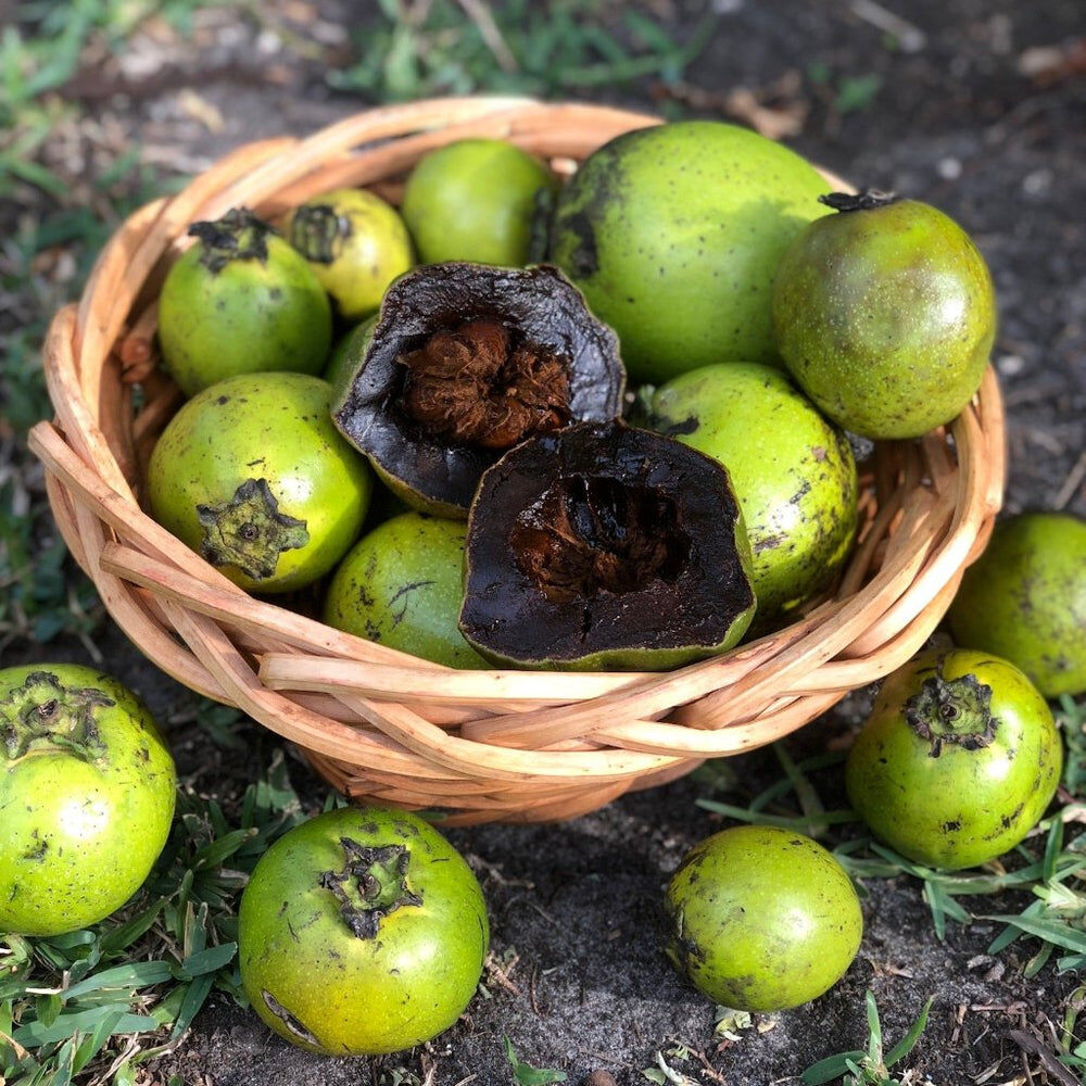 Black Sapote'