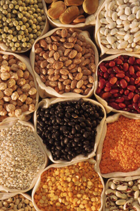 BULK FOOD BOX 20