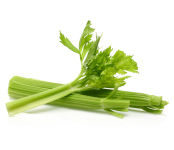 Celery