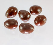 Dark Chocolate Covered Cherries