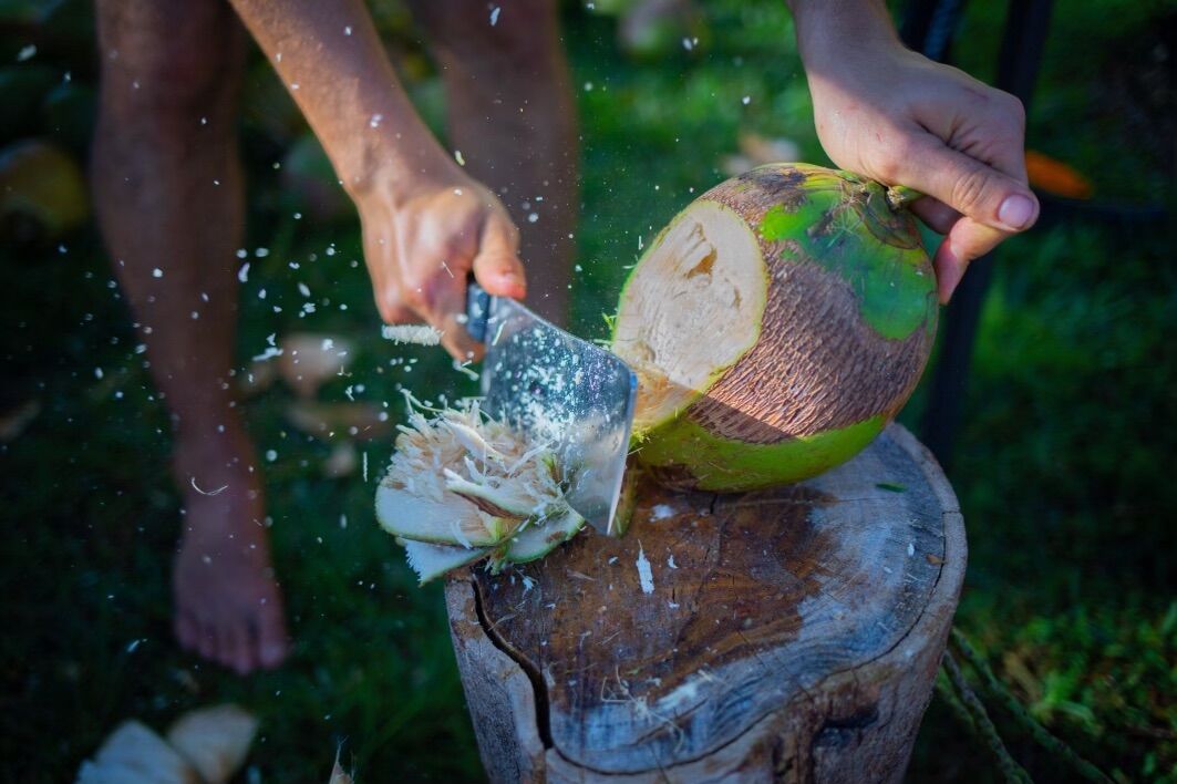 Coconut Water 32 oz