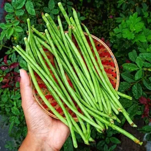 Cow Peas (Long Beans)