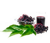 Elderberry Syrup