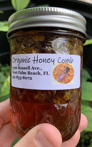 Local/Raw Honey with Comb