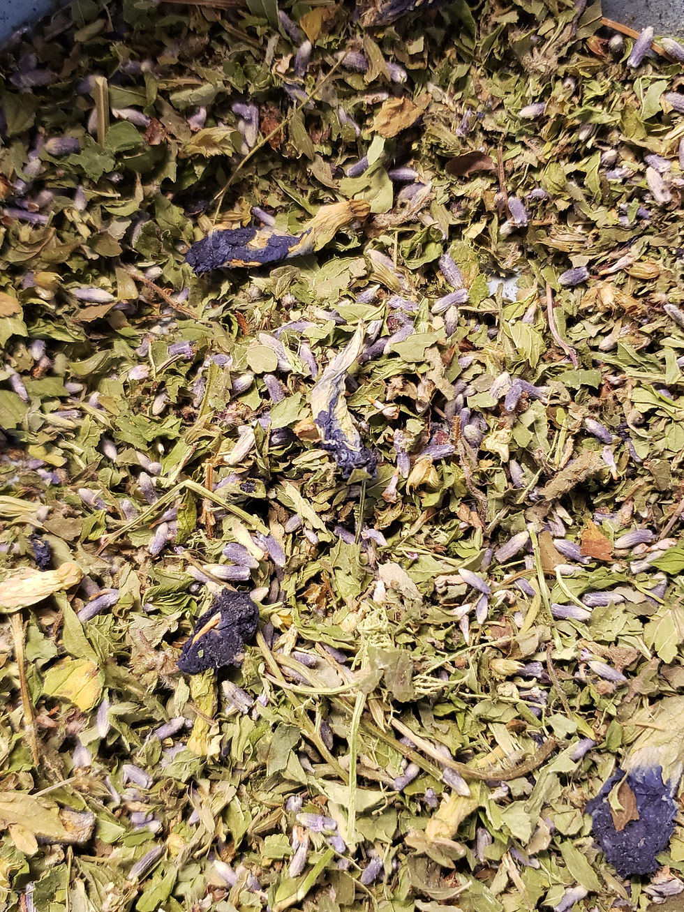 Lavender/Tulsi Tea