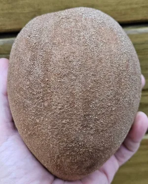 Mamey Sapote'