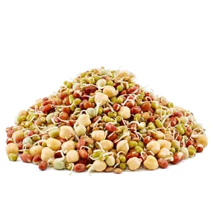 Sprouted Mixed Beans