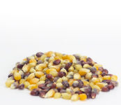 Multi-colored Popcorn
