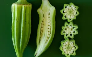 Okra