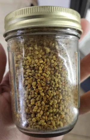 Local Organic Bee Pollen