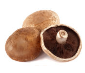 Portabella Mushrooms