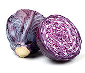 Cabbage ( Purple )