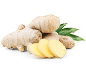 Ginger