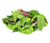Mesclun Lettuce Mix