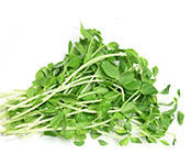 Sprouts (Pea)