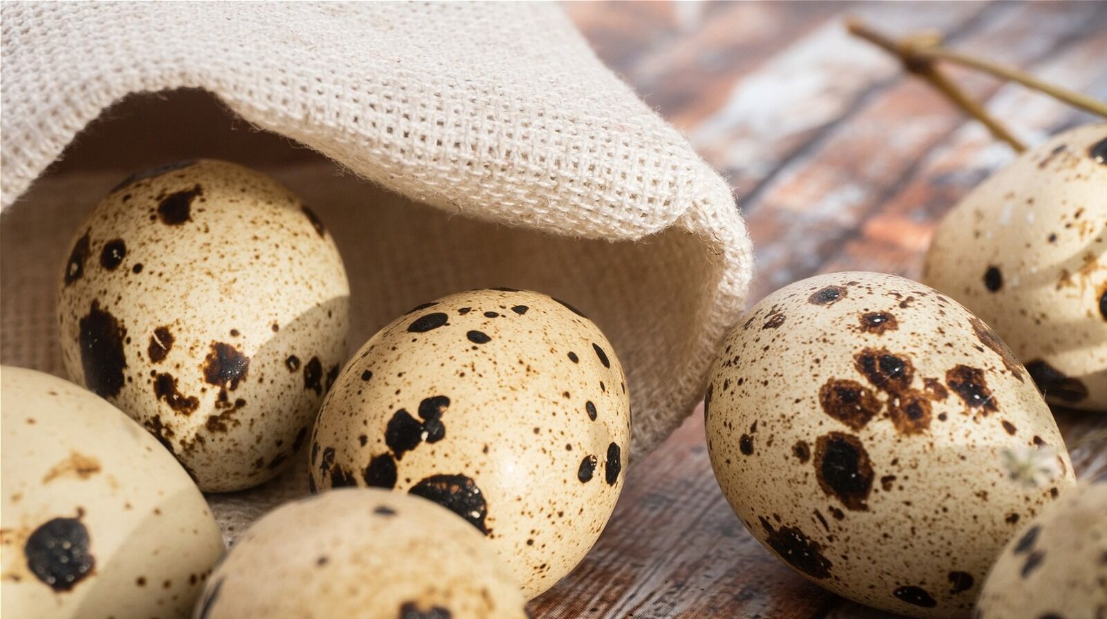 Quail Eggs