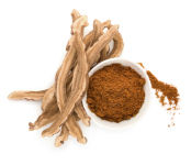 Reishi Mushroom Powder