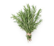 Rosemary