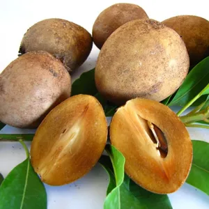 Sapodilla