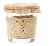Sourdough Starter