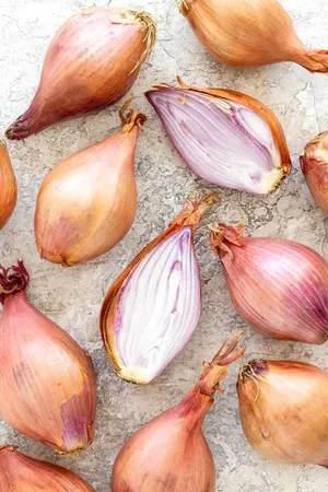 Shallots