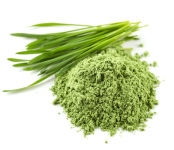 Wheat Grass Powder