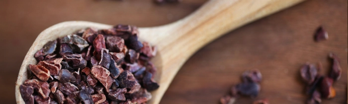 Cacao Nibs