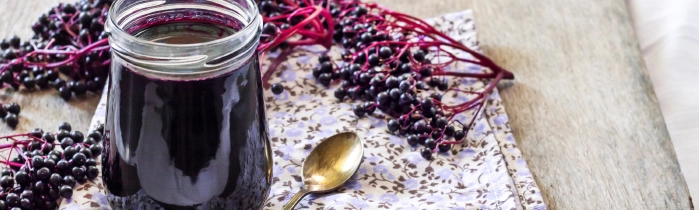 Elderberry Syrup