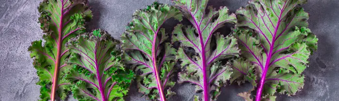 Kale (bunch)