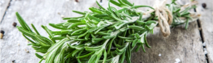 Rosemary