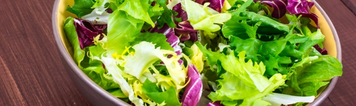 Spring Lettuce Mix