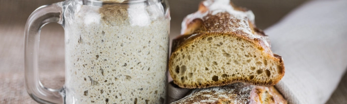 Sourdough Starter