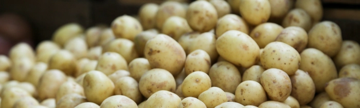 Potatoes (Yukon Gold)