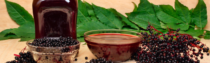 Dried Lavender/Tulsi Tea Leaves