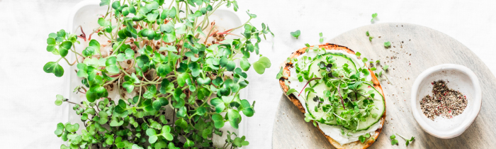 Fresh Moringa