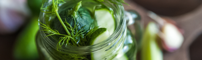 Dill Pickles