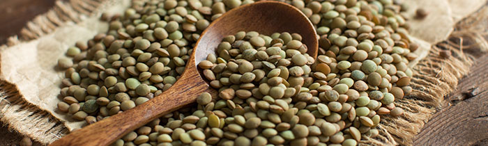 Lentils (Green)