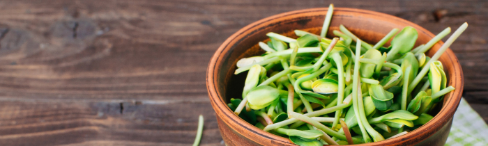 Micro-greens: Buckwheat