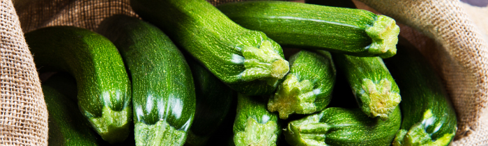 Summer Squashes